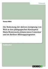 Die Bedeutung der aktiven Aneignung von Welt in den pädagogischen Konzepten Maria Montessoris, Johann Amos Comenius' und im Berliner Bildungsprogramm