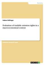 Evaluation of Tradable Emission Rights in a Macro-Economical Context