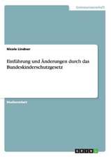 Einführung und Änderungen durch das Bundeskinderschutzgesetz