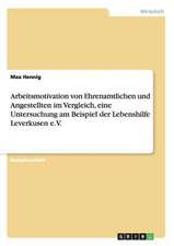 Arbeitsmotivation von Ehrenamtlichen und Angestellten im Vergleich, eine Untersuchung am Beispiel der Lebenshilfe Leverkusen e.V.