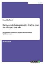 Hermeneutisch-interpretative Analyse eines Handlungsprotokolls