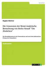 Die Grauzonen der Moral. Analytische Betrachtung von Botho Strauß' "Die Ähnlichen"