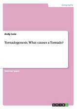 Tornadogenesis. What causes a Tornado?