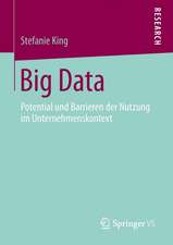 Big Data: Potential und Barrieren der Nutzung im Unternehmenskontext