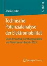 Technische Potenzialanalyse der Elektromobilität: Stand der Technik, Forschungsausblick und Projektion auf das Jahr 2025