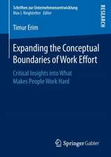 Expanding the Conceptual Boundaries of Work Effort