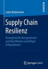 Supply Chain Resilienz: Konzeptioneller Bezugsrahmen und Identifikation zukünftiger Erfolgsfaktoren