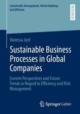 Sustainable Business Processes in Global Companies: Current Perspectives and Future Trends in Regard to Efficiency and Risk Management