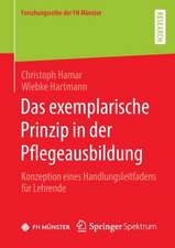 Das exemplarische Prinzip in der Pflegeausbildung: Konzeption eines Handlungsleitfadens für Lehrende