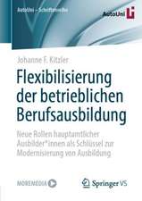 Flexibilisierung der betrieblichen Berufsausbildung: Neue Rollen hauptamtlicher Ausbilder*innen als Schlüssel zur Modernisierung von Ausbildung