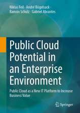 Public Cloud Potential in an Enterprise Environment: Public Cloud as a New IT Platform to Increase Business Value