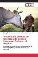 Sistema de Crianza de Becerros de Cruces Holstein - Cebu En El Tropico