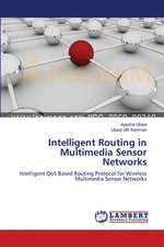 Intelligent Routing in Multimedia Sensor Networks