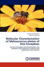 Molecular Charecterization of Melissococcus pluton of hive honeybees