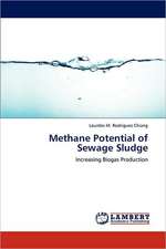 Methane Potential of Sewage Sludge