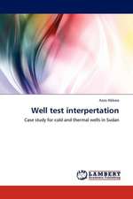 Well test interpertation