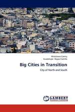 Big Cities in Transition