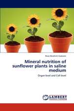 Mineral nutrition of sunflower plants in saline medium