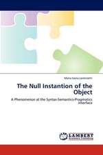 The Null Instantion of the Object