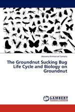 The Groundnut Sucking Bug Life Cycle and Biology on Groundnut