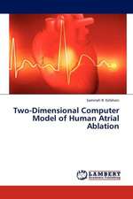 Two-Dimensional Computer Model of Human Atrial Ablation