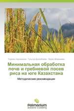 Minimal'naya Obrabotka Pochv I Grebnevoy Posev Risa Na Yuge Kazakhstana: Sluchaynost' I Svoboda
