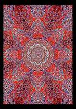 A Shamans Vision Starseed - Mandala Art (Stand-Up Mini Poster DIN A5 Portrait)