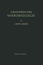 Grundriss der Mikrobiologie