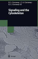 Signaling and the Cytoskeleton