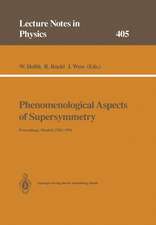 Phenomenological Aspects of Supersymmetry: Proceedings of a Series of Seminars Held at the Max-Planck-Institut für Physik Munich, FRG, May to November 1991