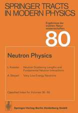 Neutron Physics