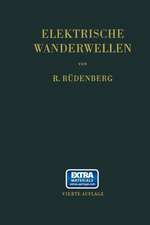 Elektrische Wanderwellen: auf Leitungen und in Wicklungen von Starkstromanlagen