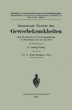 Internationale Übersicht über Gewerbekrankheiten nach den Berichten der Gewerbeinspektionen der Kulturländer über das Jahr 1919