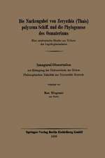 Die Nackengabel von Zerynthia (Thais) polyxena Schiff. und die Phylogenese des Osmateriums