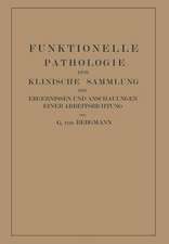 Funktionelle Pathologie: Eine Klinische Sammlung von Ergebnissen und Anschauungen Einer Arbeitsrichtung