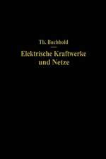 Elektrische Kraftwerke und Netze