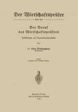 Der Beruf des Wirtschaftsprüfers: Ausbildungs- und Organisationsgrundsätze