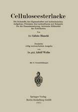 Celluloseesterlacke: Die Rohstoffe, ihre Eigenschaften und lacktechnischen Aufgaben; Prinzipien des Lackaufbaues und Beispiele für die Zusammensetzung; technische Hilfsmittel der Fabrikation