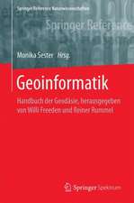 Geoinformatik: Handbuch der Geodäsie, herausgegeben von Willi Freeden und Reiner Rummel