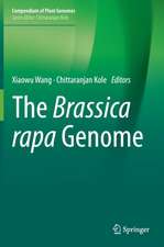 The Brassica rapa Genome