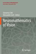 Neuromathematics of Vision