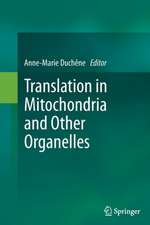 Translation in Mitochondria and Other Organelles