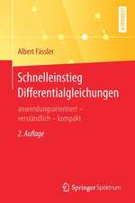 Schnelleinstieg Differentialgleichungen: anwendungsorientiert – verständlich – kompakt