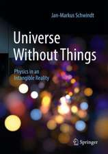 Universe Without Things: Physics in an Intangible Reality