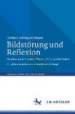 Bildstörung und Reflexion: Studien zur kritischen Theorie der visuellen Kultur