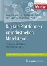 Digitale Plattformen im industriellen Mittelstand: Strategien, Methoden, Umsetzungsbeispiele