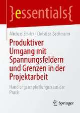 Produktiver Umgang mit Spannungsfeldern und Grenzen in der Projektarbeit: Handlungsempfehlungen aus der Praxis