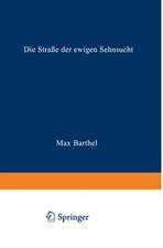 Die Straße der ewigen Sehnsucht: Roman