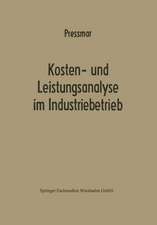 Kosten- und Leistungsanalyse im Industriebetrieb