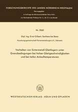 Verhalten von Sintermetall-Gleitlagern unter Grenzbedingungen bei hohen Gleitgeschwindigkeiten und bei tiefen Anlauftemperaturen